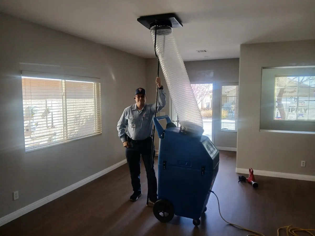 Professional Dryer Vent Cleaning work inside a Jackson home